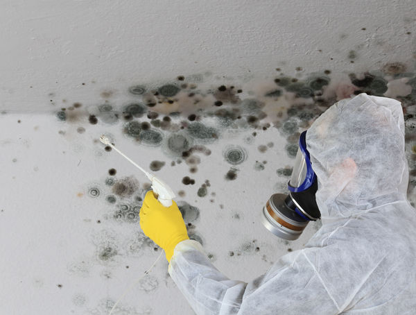 Mould remediation in progress with protective equipment